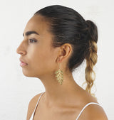 Fern medium • earrings brass