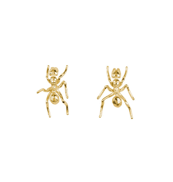 Ant earrings gold