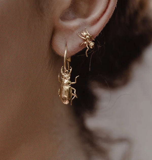 Ant earrings gold