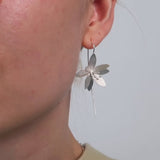 Lilly earrings 925 silver