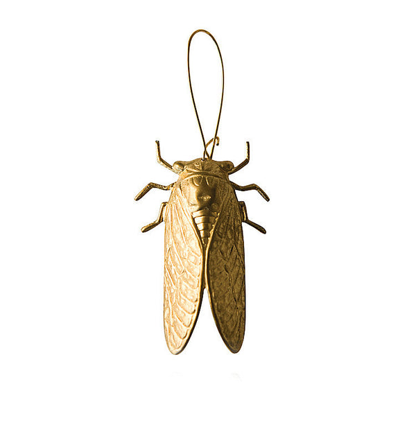 Cicada single earring brass