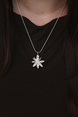 Stjärnanis charm
