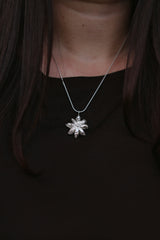 Stjärnanis charm