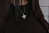 Stjärnanis charm