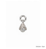 Månadsstens charm silver