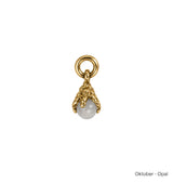 Månadsstens charm brass
