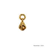 Månadsstens charm brass