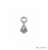 Månadsstens charm silver