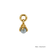 Månadsstens charm brass