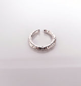 Ice ring • silver