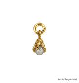 Månadsstens charm brass