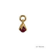 Månadsstens charm brass