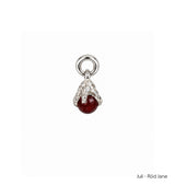 Månadsstens charm silver