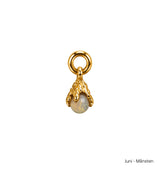 Månadsstens charm brass