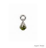 Månadsstens charm silver
