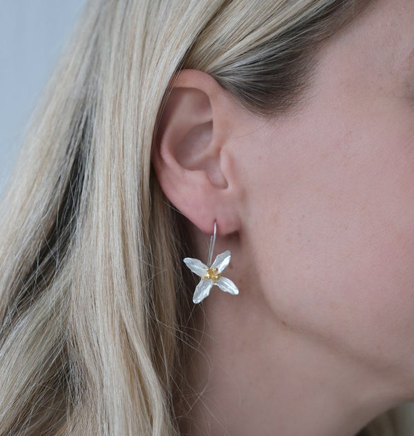 Ava earrings silver