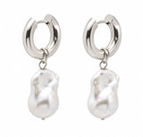 Robinette Earrings Silver