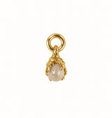 Månadsstens charm brass