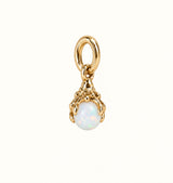 Månadsstens charm brass