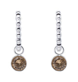 Felicia earrings champagne silver