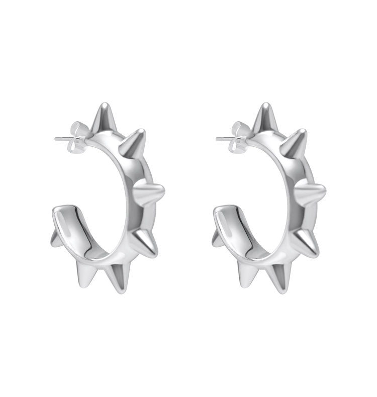 Paulina earrings silver