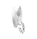 Paulina earrings silver