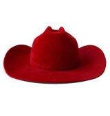 CRIMSON VISION COWBOY HAT