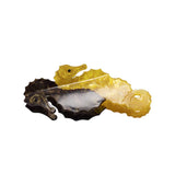 Sea Horse hair clip