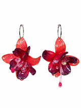 Soaked lily hoops