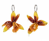 Soaked orchid hoops