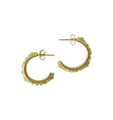 Vanka earrings gold