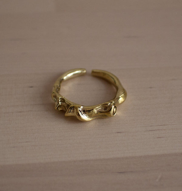 Sidekick ring brass