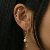 Frog earrings