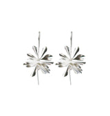 Habitat earrings silver