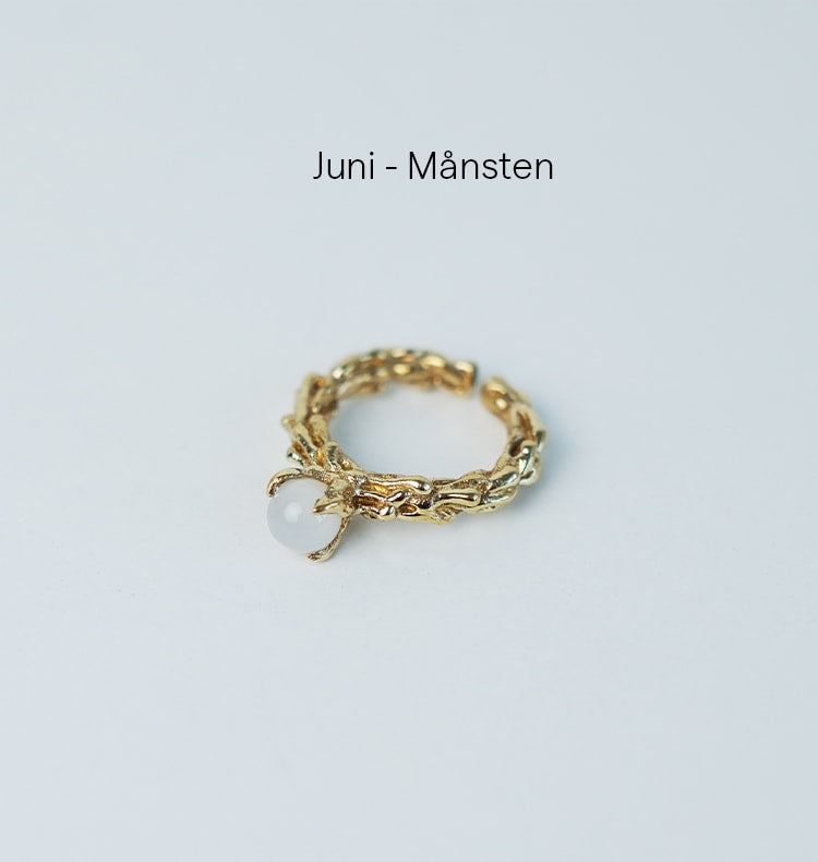 Månadssten Ring Brass