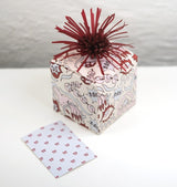 Presentkartong WOS print