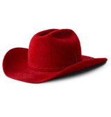 CRIMSON VISION COWBOY HAT