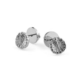 Venus Shell Earrings