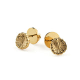 Venus Shell Golden Earrings