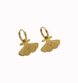 Moth earrings gold