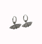 moth earrings silver