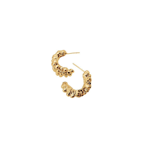 sasha earrings gold