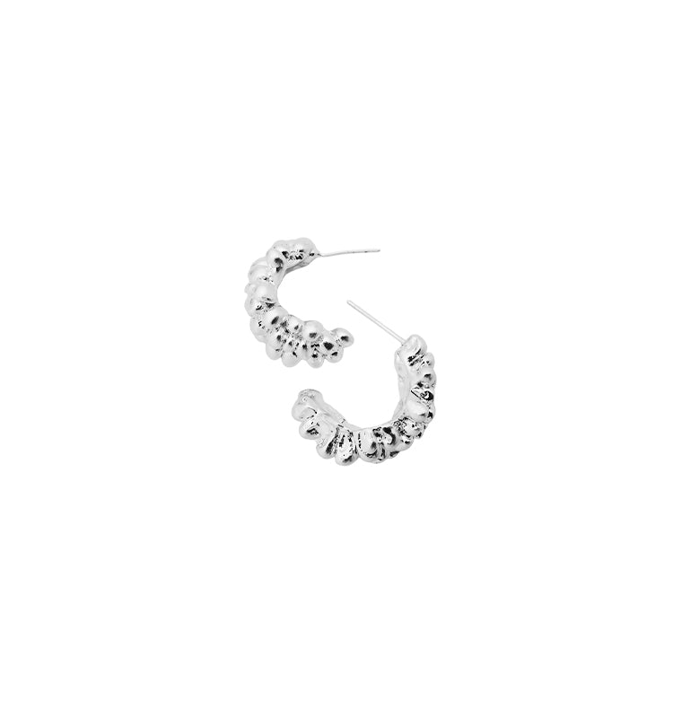 sasha earrings silver